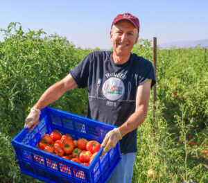 A volunteer for Yolo Food Bank stands in a field, smiling and holding up a crate of tomatoes he harvested.