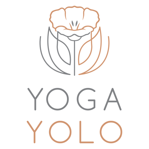 Yoga Yolo 2